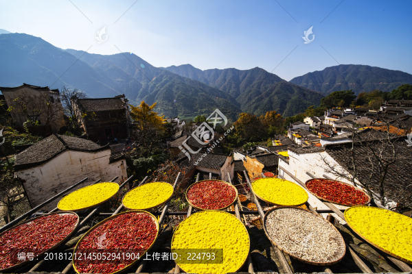 篁嶺曬秋圖