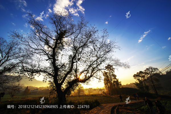 盧村風(fēng)光