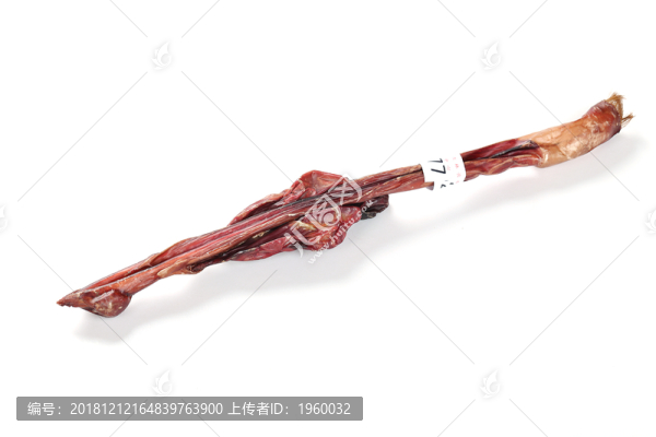 鹿鞭中藥材鹿腎鹿沖風干