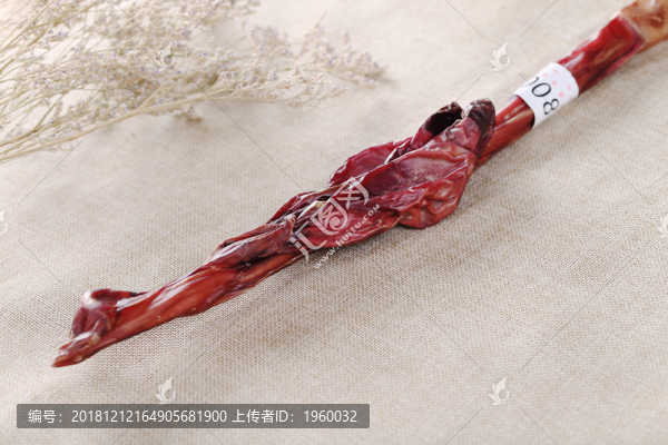 鹿鞭中藥材鹿腎鹿沖風(fēng)干
