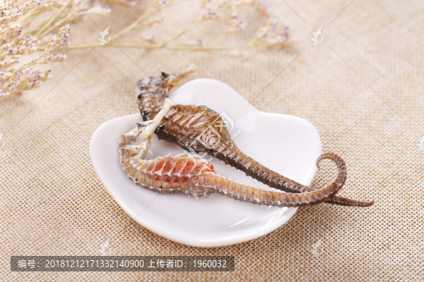 海馬中藥材風(fēng)干滋補(bǔ)壯陽