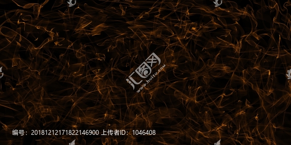 黑底金線