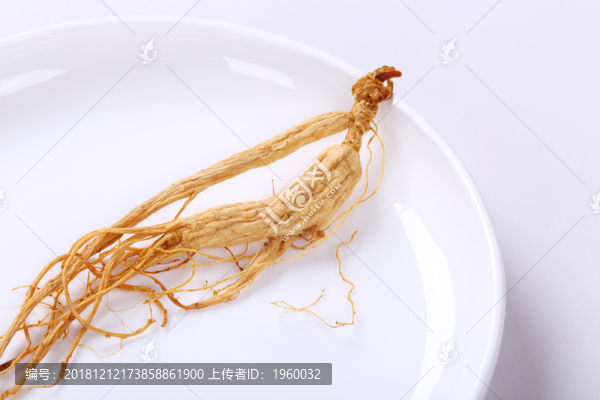人參中草藥東北三寶保健養(yǎng)生