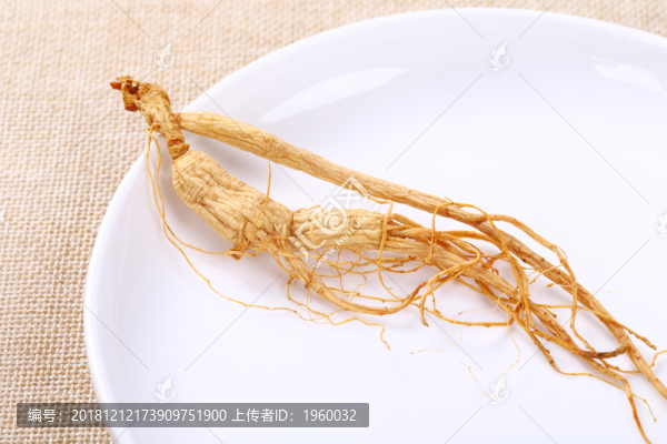 人參中草藥東北三寶保健養(yǎng)生