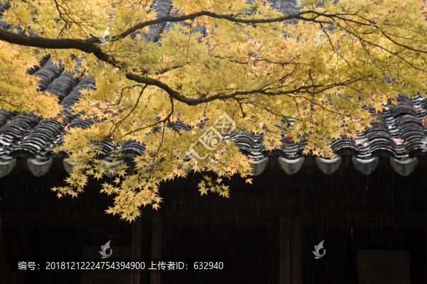 屋檐