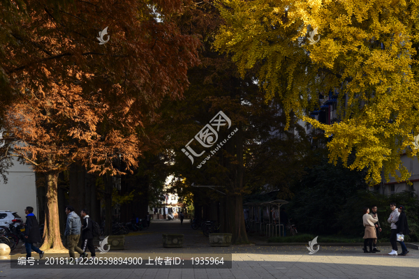 秋天的西華大學(xué)