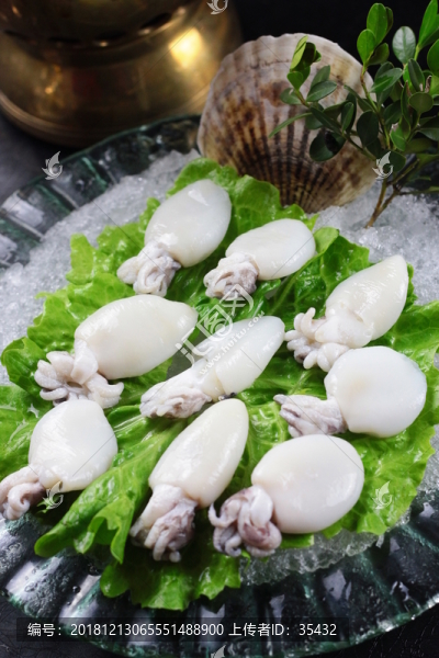 目魚仔