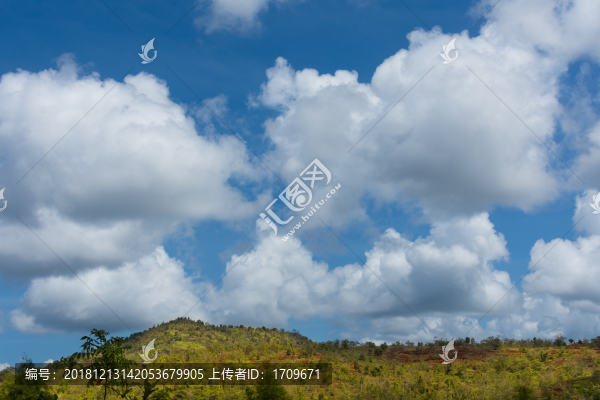 清新環(huán)保