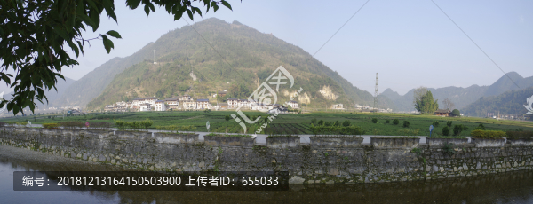 宣恩水田壩茶園
