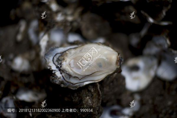 生蠔