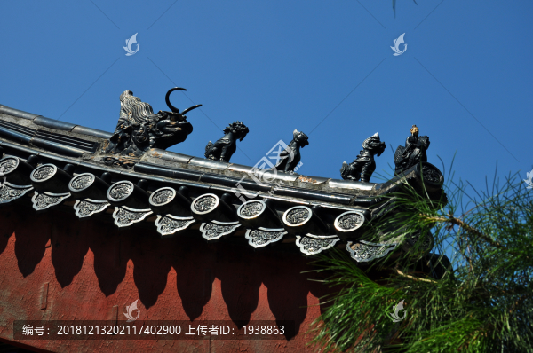 垂脊小獸