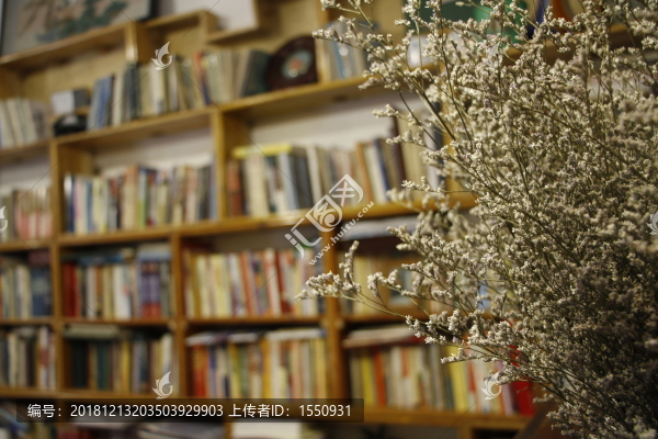 書房書架