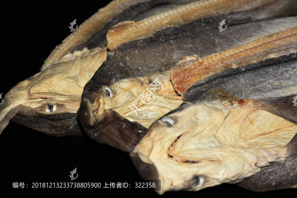 鯊魚海鮮