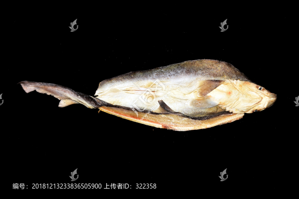 魚翅干