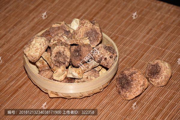 姬松茸特寫
