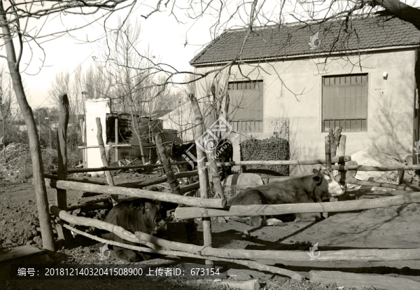 農(nóng)村老照片