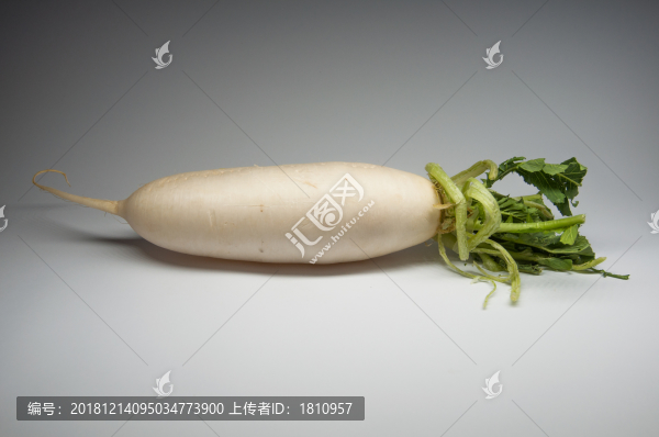 白蘿卜