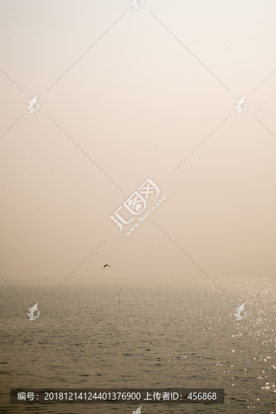 太湖風光