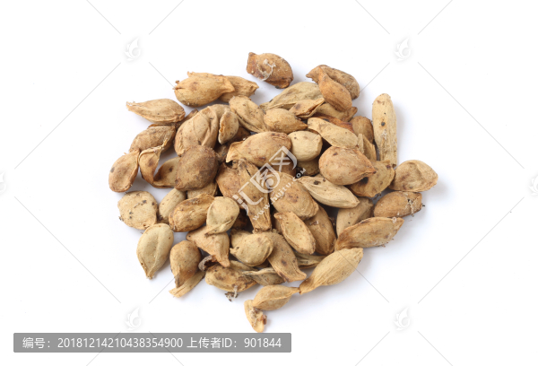 中藥材橘核白底白背景圖片