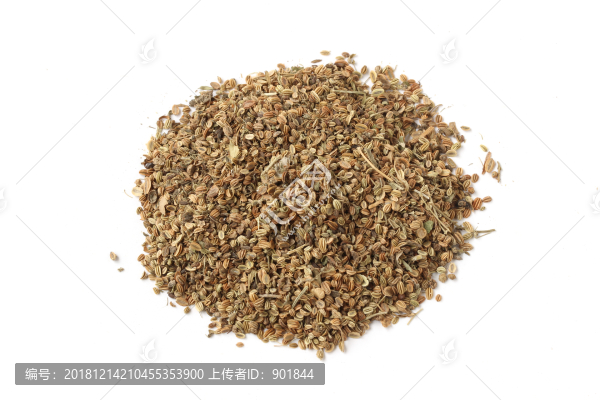 中藥材中草藥蛇床子白底白背景圖