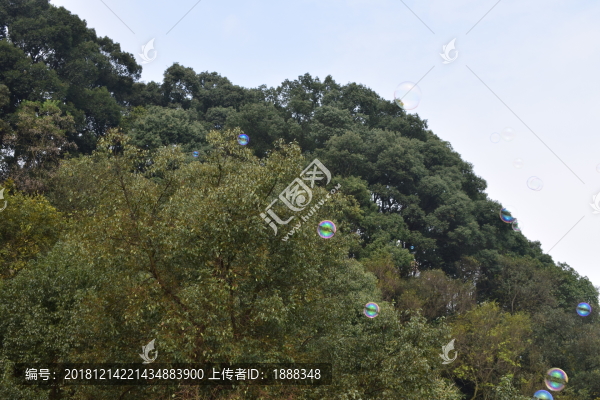 肥皂泡泡