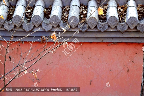 紅墻
