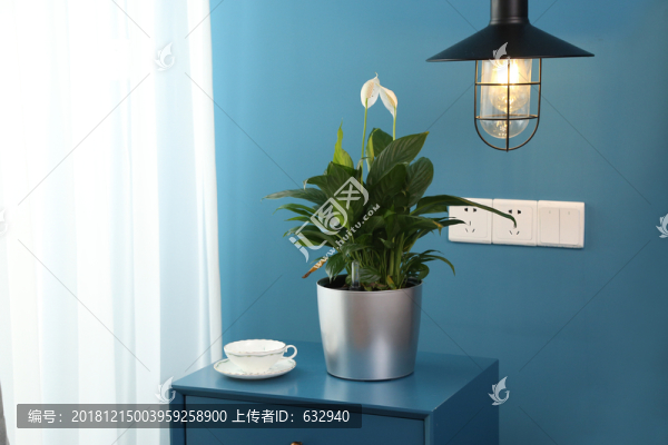 時(shí)尚花盆