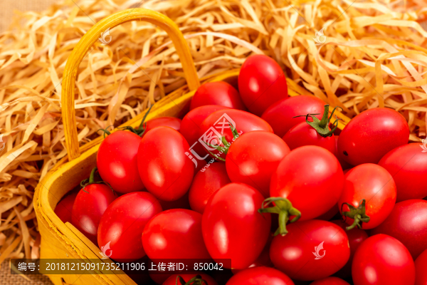 中國(guó)風(fēng)棚拍圣女果特寫