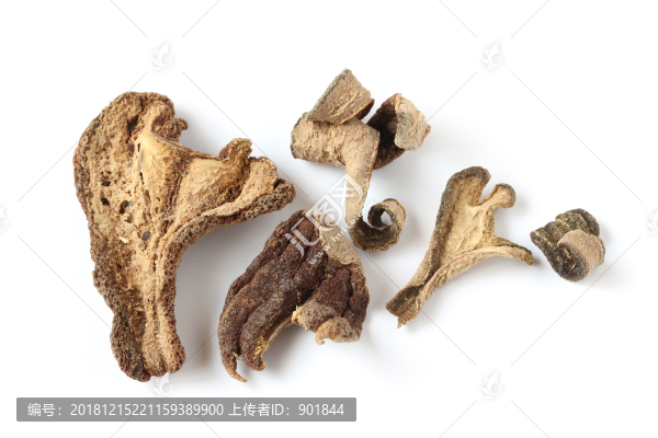 中藥材佛手白底白背景圖片