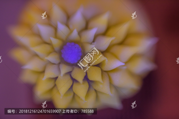 茶果子