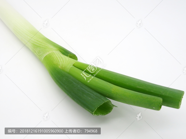 大蔥