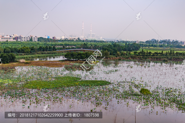 麻涌華陽湖