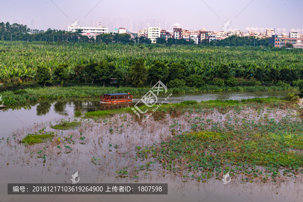 華陽湖濕地公園