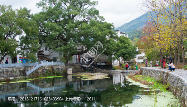 金庸祖籍婺源鳳山鄉(xiāng)