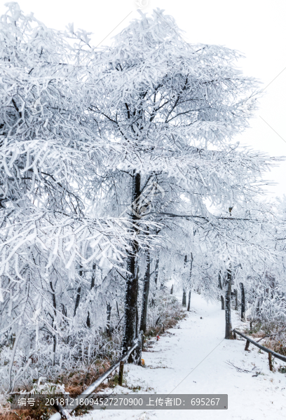 森林雪景素材