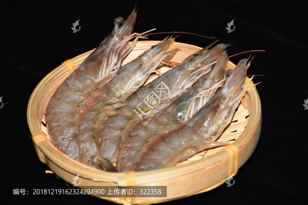 青蝦高清特寫