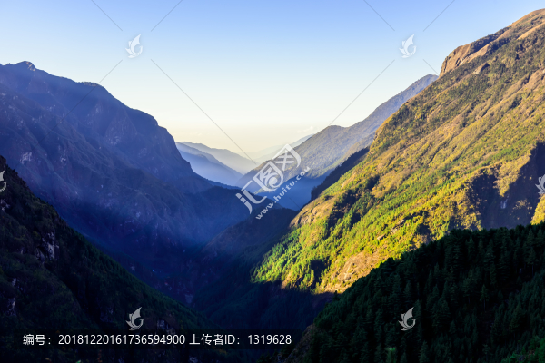 傍晚的陽光