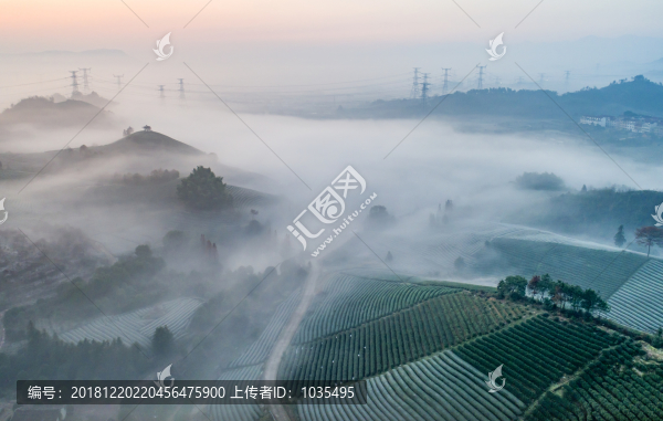 茶山風(fēng)光