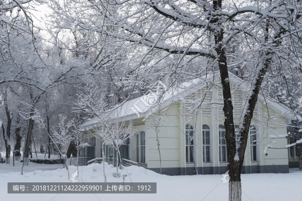雪景