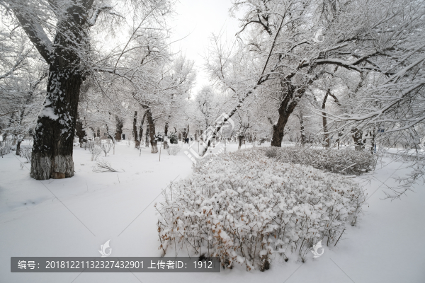 雪景