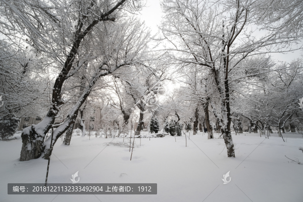 雪景