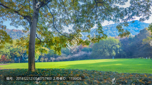 杭州太子灣公園一角