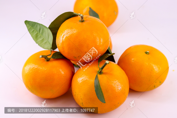 廣西沃柑