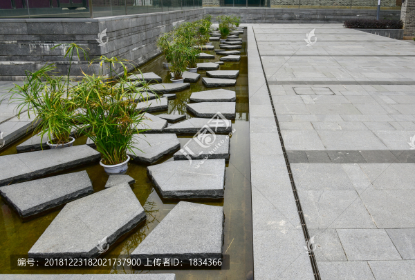 觀(guān)賞魚(yú)池
