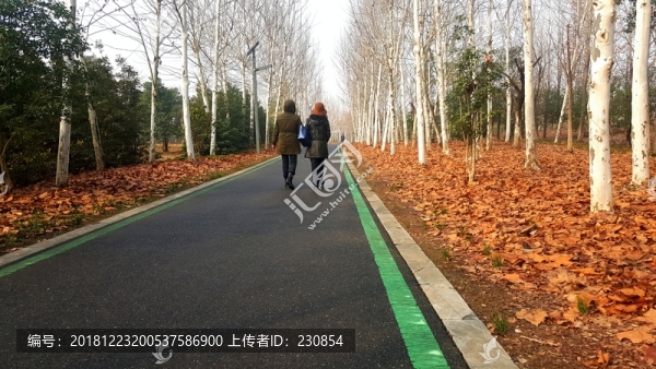 公園散步