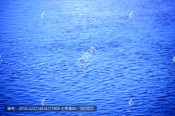 水波紋