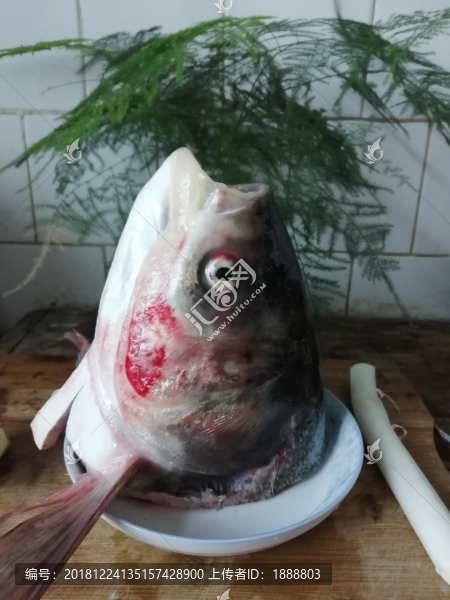 魚頭