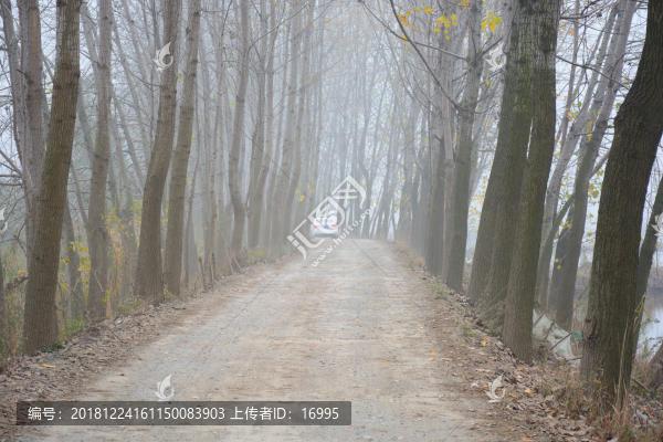 鄉(xiāng)間小路