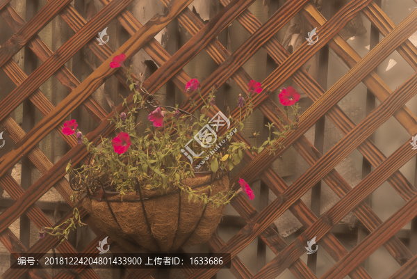 花籃