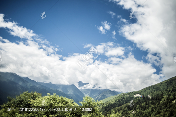 天空峻嶺帶森林盤山道